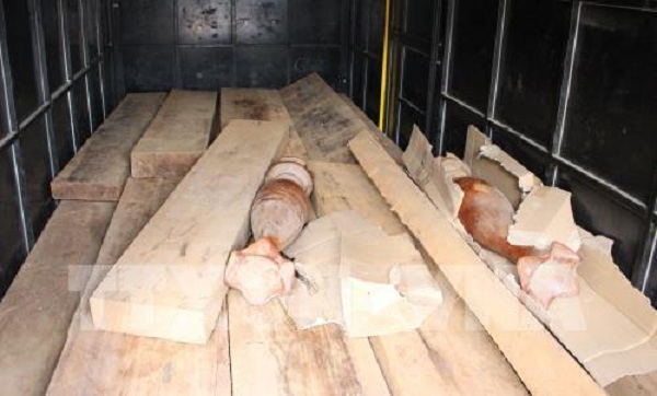 Quảng Nam: Bắt giữ xe tải chở hơn 2 tấn gỗ trắc không rõ nguồn gốc - Hình 1