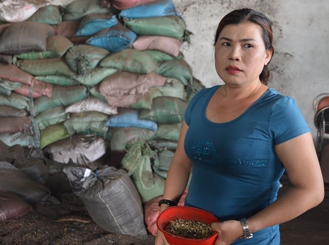 Khởi tố vụ án cà phê nhuộm than pin