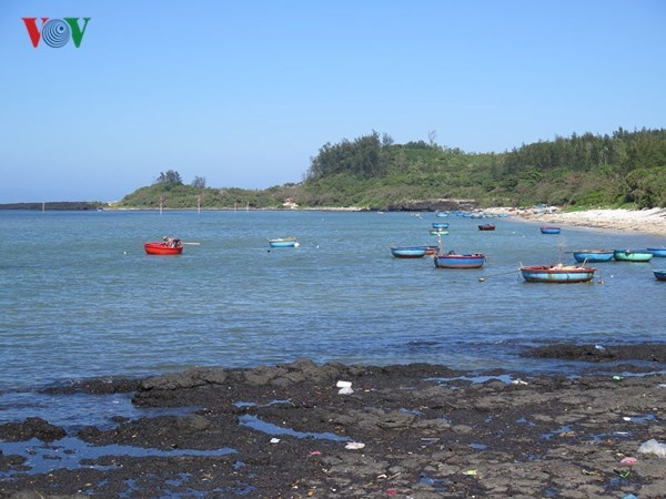 Quảng Ngãi giải thích về Dự án du lịch FLC Bình Châu-Lý Sơn