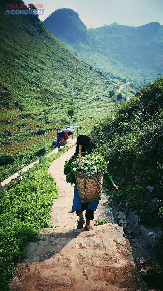 Hà Giang tháng 4 đẹp say đắm lòng người - Hình 3