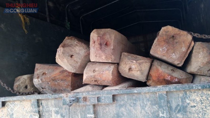 Quảng Bình: Bắt giữ số lượng lớn gỗ không rõ nguồn gốc - Hình 2