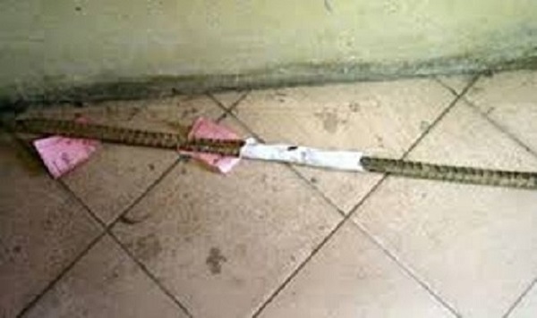 Nghệ An: Nam thanh niên dùng xà beng ném mẹ không may trúng đầu bé trai 4 tuổi