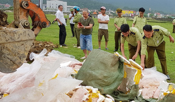 Tiêu hủy 5.000 kg nầm lợn không rõ ngồn gốc