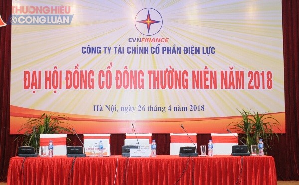 Cty Tài chính CP Điện lực tổ chức thành công Đại hội đồng cổ đông thường niên năm 2018 - Hình 1