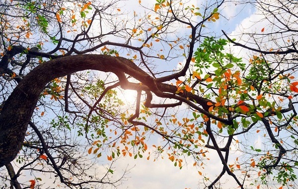 Dự báo thời tiết ngày 28/4: Bắc Bộ sáng sớm vẫn có mưa, trưa chiều hửng nắng