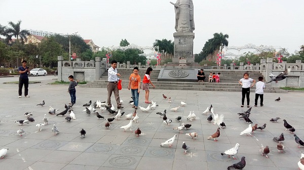 Bắc Ninh: Sắp diễn ra hội thi thả chim Bồ Câu nhân dịp lễ 30/4 - 1/5