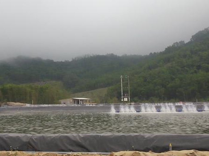 Thừa Thiên Huế: Nhiều cán bộ bị kỷ luật vì để người dân phá rừng làm hồ nuôi tôm