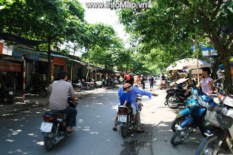 Nghĩa Tân căng tràn sức sống