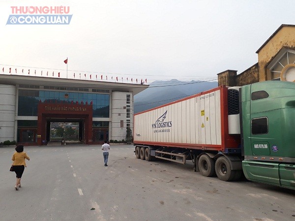Hải quan Quảng Ninh bắt giữ nhiều vụ vận chuyển trái phép hàng vi phạm an toàn thực phẩm - Hình 1