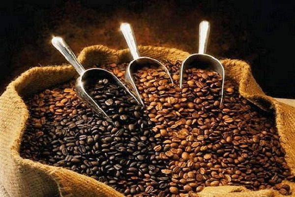 Gia Lai: Tăng cường giám sát các cơ sở sản xuất, chế biến cà phê - Hình 1