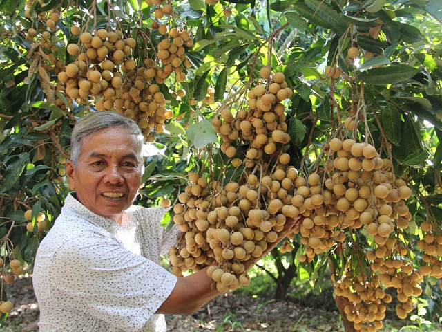 Phê duyệt Chương trình mỗi xã một sản phẩm giai đoạn 2018-2020