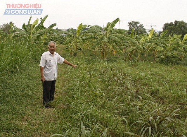 Quy hoạch 'treo' tại TP HCM: Dân khổ vì chỉ được… 'trồng cỏ' - Hình 1