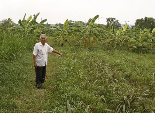 Quy hoạch 'treo' tại TP HCM: Dân khổ vì chỉ được… 'trồng cỏ'
