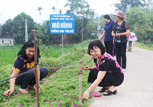 Huyện Tam Dương (Vĩnh Phúc): Nhân rộng những con đường hoa nông thôn mới - Hình 1