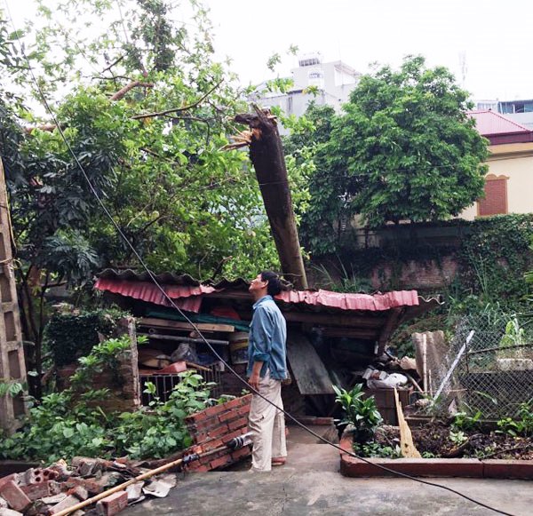 Tuyên Quang: Gần 200 ngôi nhà bị thiệt hại do mưa đá kèm gió giật mạnh - Hình 1