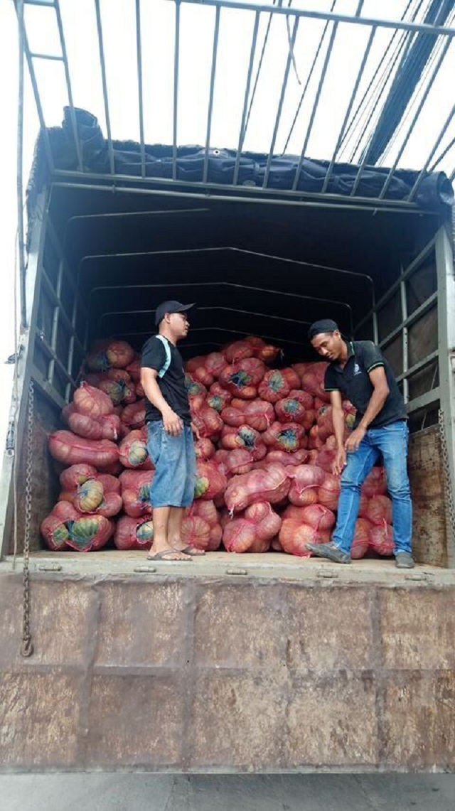 Big C Việt Nam và Central Group Việt Nam thu mua bí đỏ hỗ trợ nông dân Đắk Lắk - Hình 4