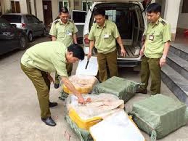 Lạng Sơn: Bắt giữ xe ô tô vận chuyển 200kg nầm lợn đã bốc mùi hôi thối - Hình 1