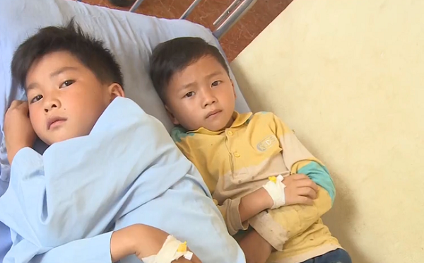 Phát hiện trực khuẩn thương hàn trong vụ hơn 300 người ngộ độc tại Sơn La