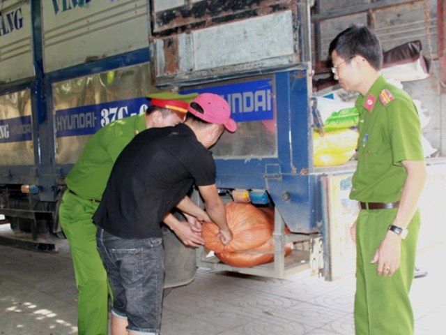Nghệ An: Thu giữ Hơn 200 kg nội tạng động vật bốc mùi hôi thối trên xe tải - Hình 1