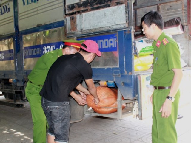 Nghệ An: Thu giữ Hơn 200 kg nội tạng động vật bốc mùi hôi thối trên xe tải