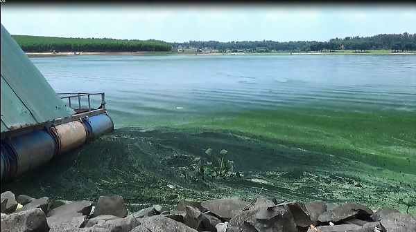 Đồng Nai: Nhiều nỗi lo cho Hồ Sông Mây