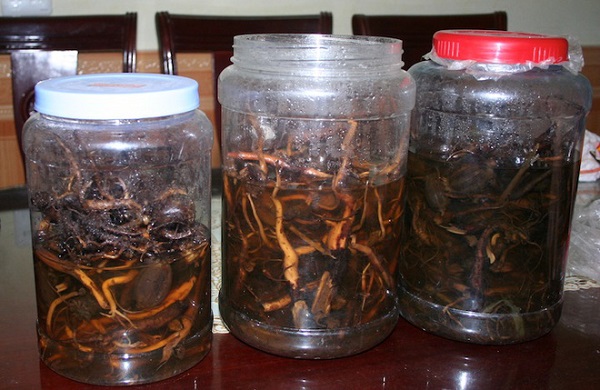 Hai người thương vong nghi do ngộ độc rượu tại Quảng Trị