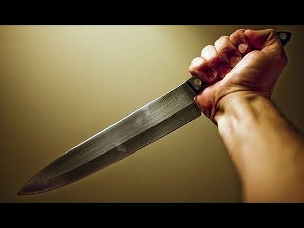 Bị cho nghỉ việc, tài xế xách dao bầu sát hại giám đốc