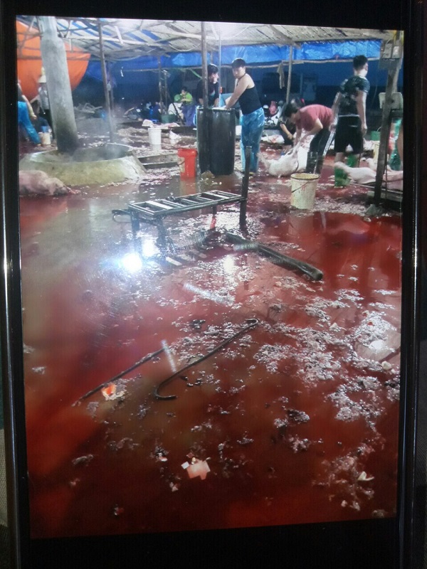 Có hay không việc UBND Huyện Chương Mỹ tạo điều kiện cho Doanh nghiệp làm sai?