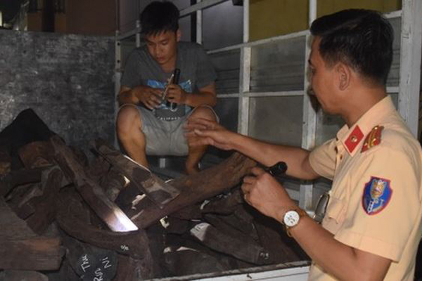 Thừa Thiên Huế: Phát hiện xe ô tô chở gỗ trắc trái phép - Hình 1