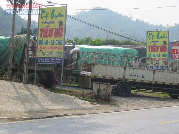 Hà Giang: Khó khăn trong việc xử lý các trường hợp xe quá tải vượt trạm cân - Hình 2