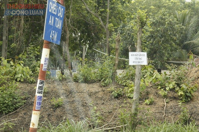 Bình Dương: Cần giải quyết khiếu nại QSDĐ đất của gia đình người có công - Hình 1