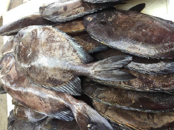 Móng Cái: Phát hiện 780 kg cá dìa đông lạnh, nguồn gốc Trung Quốc - Hình 1