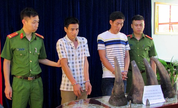 Lào Cai: Bắt 2 đối tượng vận chuyển 20kg sừng tê giác - Hình 1