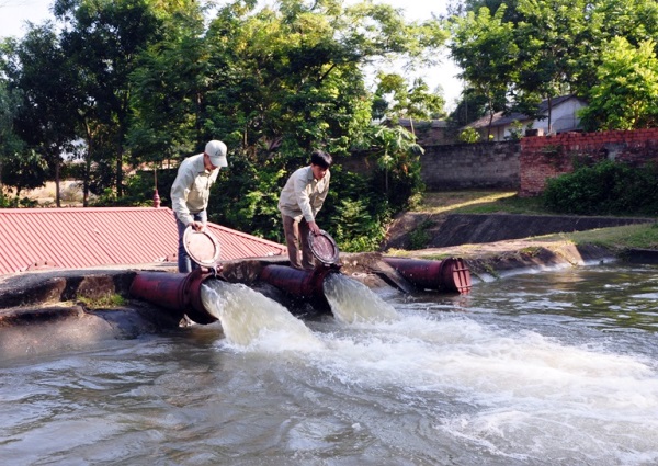 Vĩnh Phúc: Đầu tư 129 tỷ đồng cải tạo luồng tiêu nội đồng