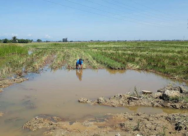 Quảng Trị: Đi bắt ốc, cháu bé 9 tuổi rơi xuống hố công trình chết đuối thương tâm