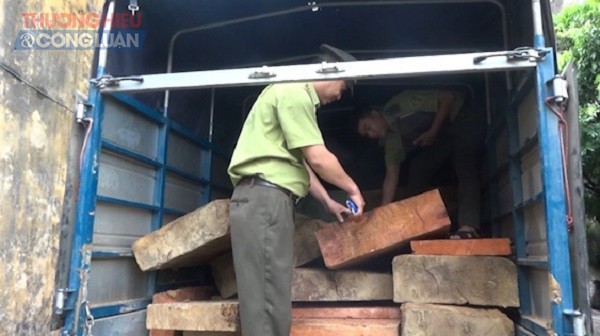 Hà giang: Bắt quả tang đối tượng vận chuyển gỗ trái phép - Hình 1