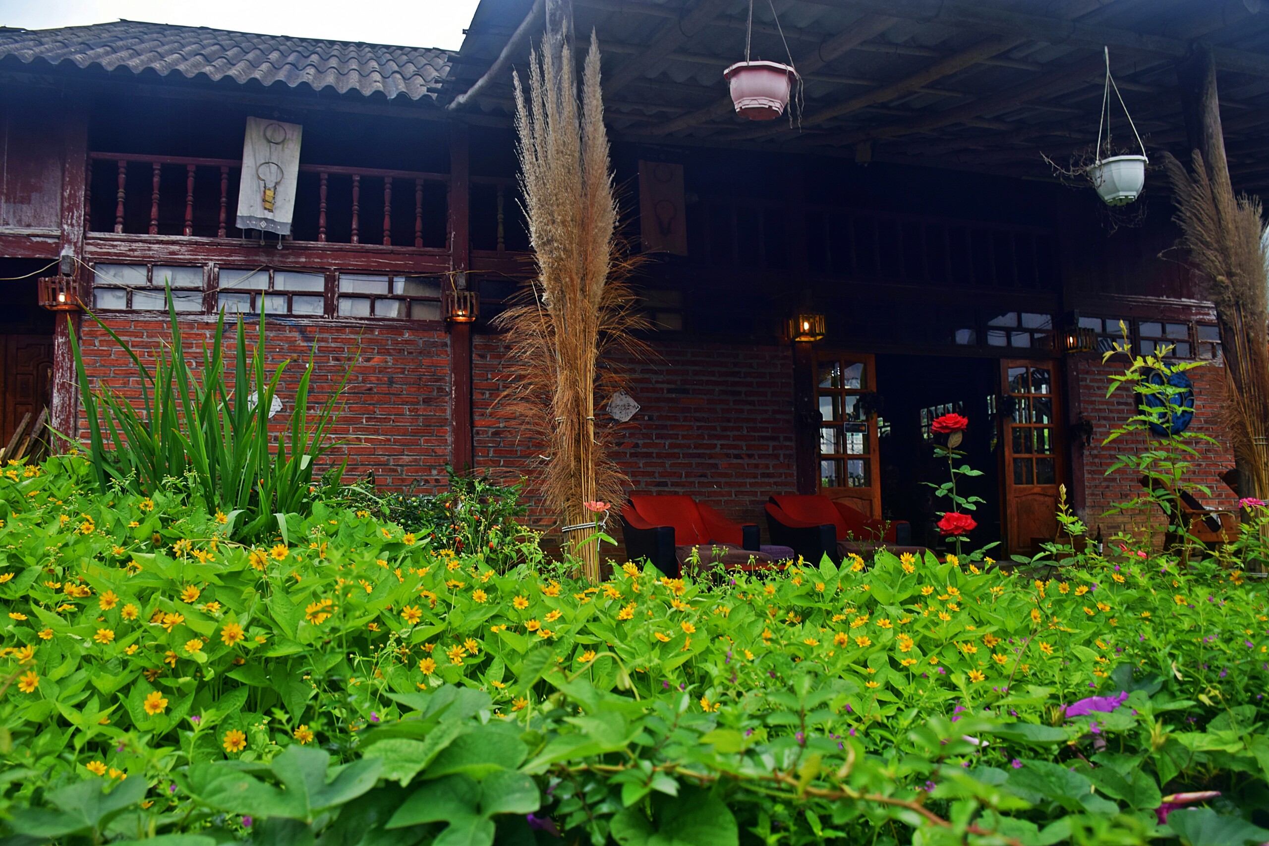 Tả Van mến yêu... nơi đáng sống và quên hết ưu phiền - Hình 13