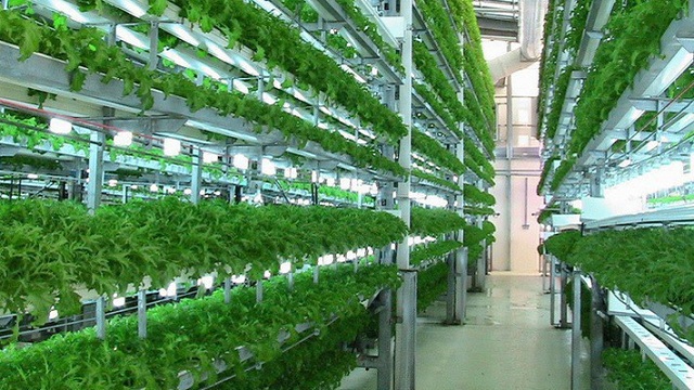 Tiêu chí về nông nghiệp công nghệ cao