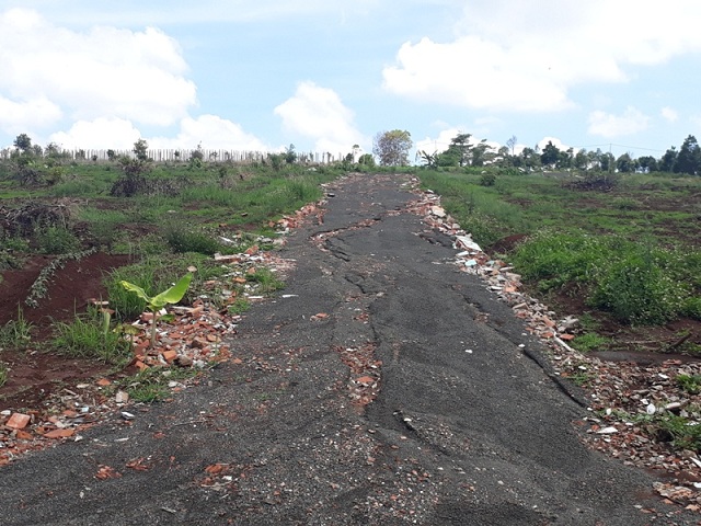 Chỉ đạo làm rõ việc phân lô, bán nền trên đất Trường ĐH Nông Lâm TP. HCM