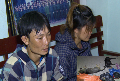 Thanh Hóa: Tóm gọn cặp vợ chồng trộm chó