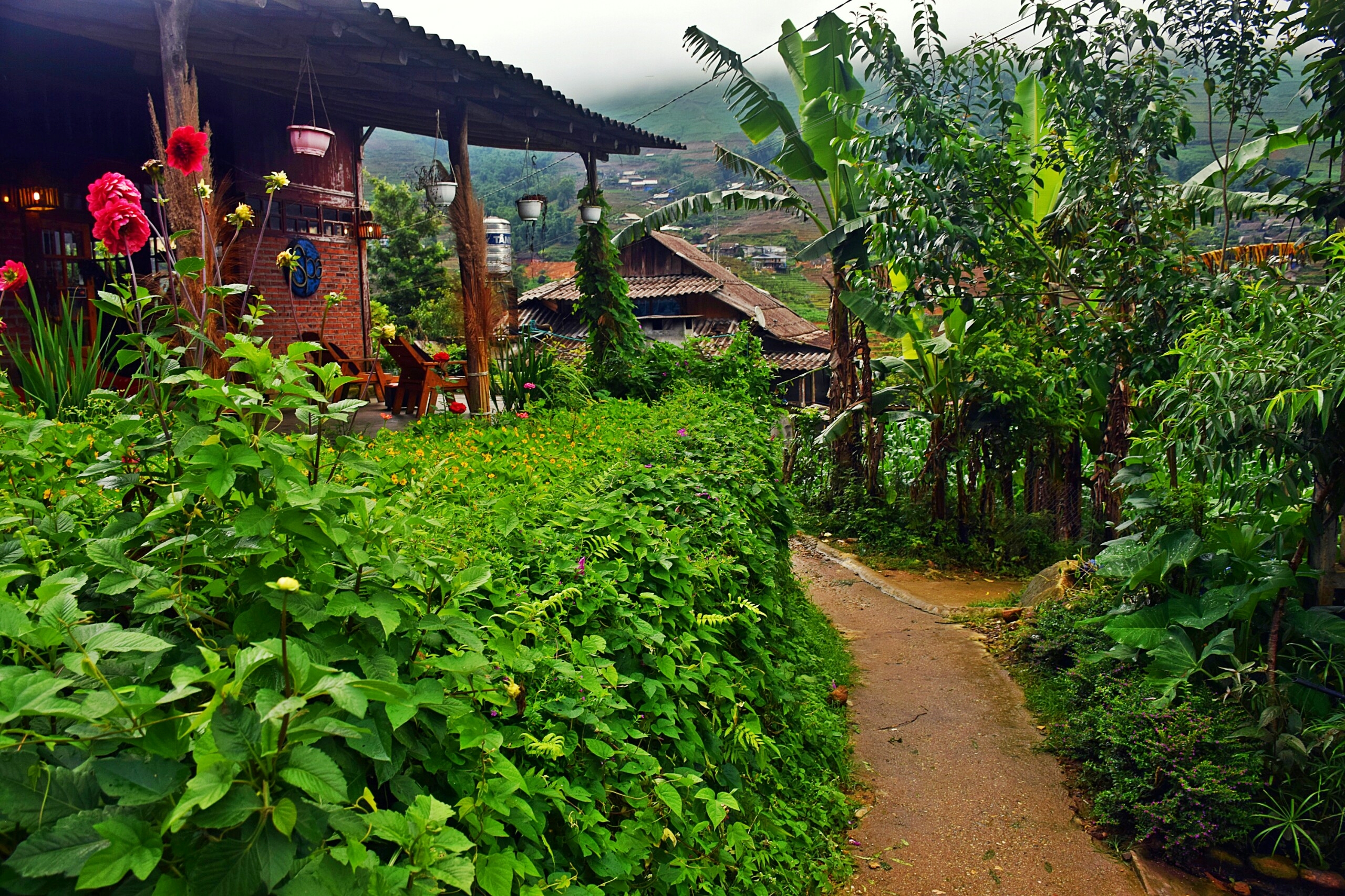 Tả Van mến yêu... nơi đáng sống và quên hết ưu phiền - Hình 5