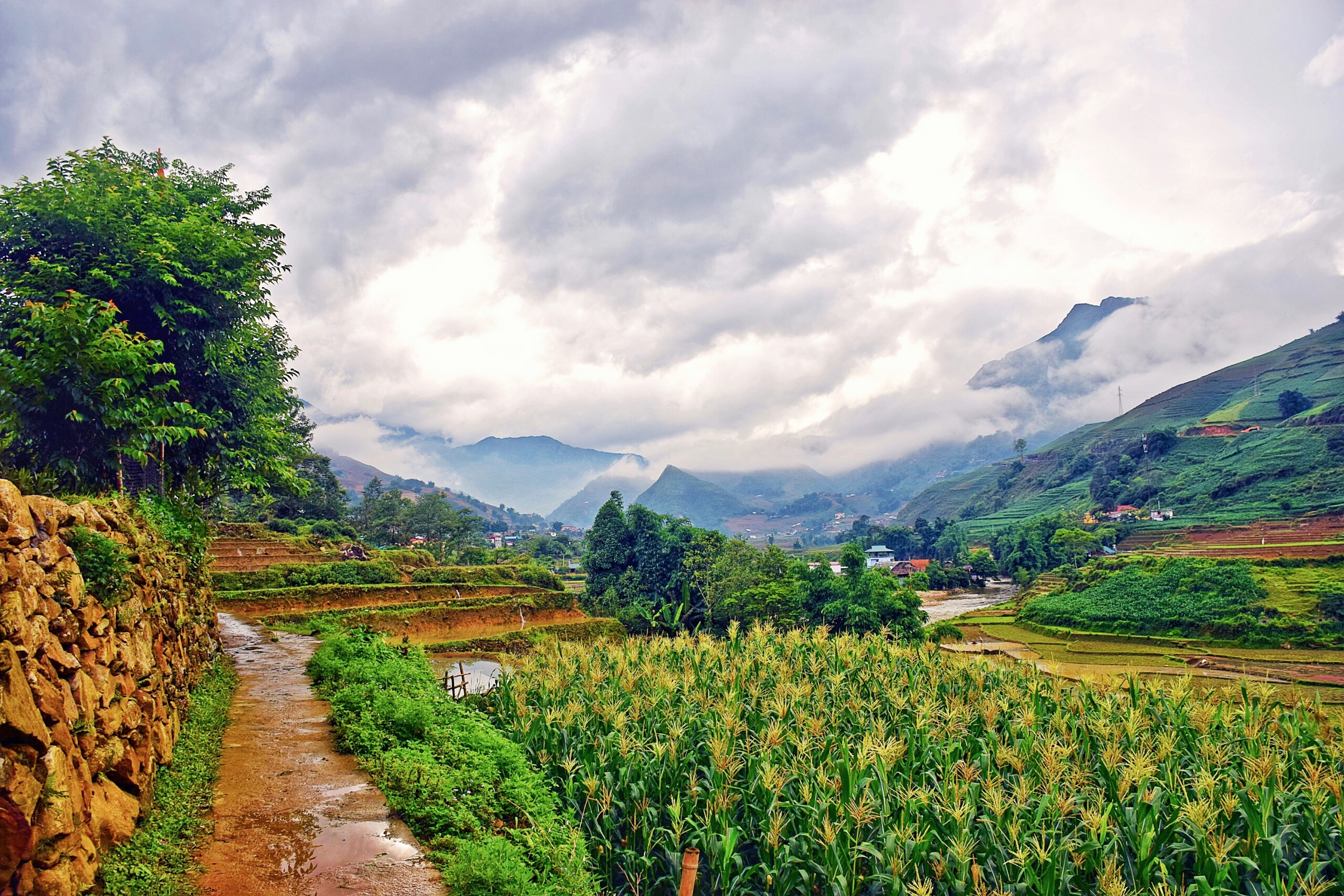 Tả Van mến yêu... nơi đáng sống và quên hết ưu phiền - Hình 24