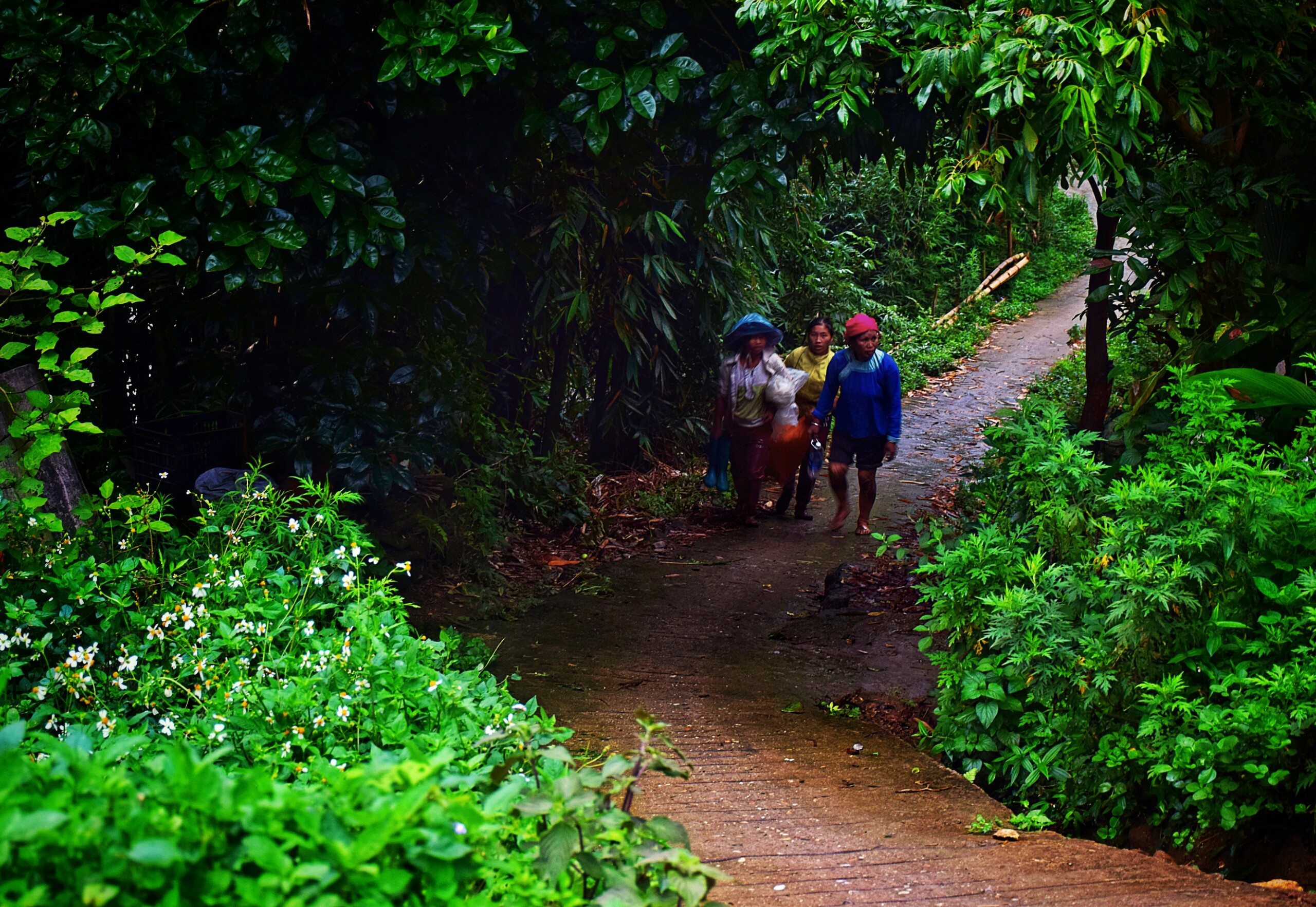 Tả Van mến yêu... nơi đáng sống và quên hết ưu phiền - Hình 15