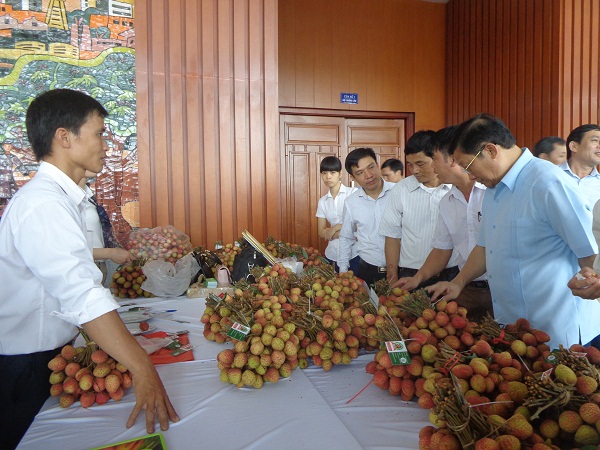 Hưng Yên: Đẩy mạnh xúc tiến tiêu thụ sản phẩm nông nghiệp, CNNT