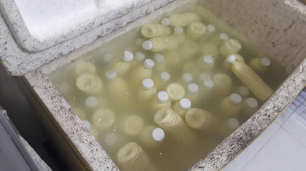 Đà Nẵng: Đình chỉ 2 cơ sở sản xuất sữa bắp không đảm bảo an toàn vệ sinh