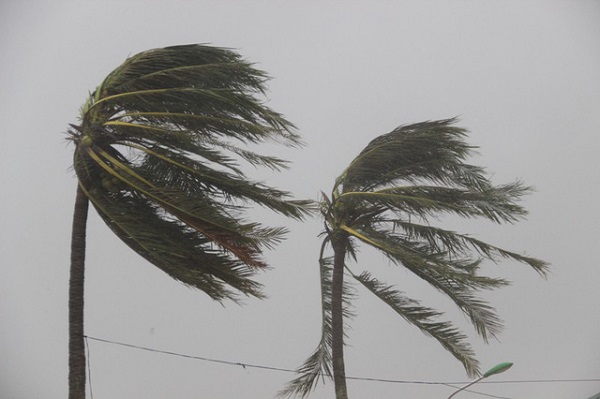 Tin bão gần bờ: Bão số 2 giật cấp 10 trên biển Đông - Hình 1