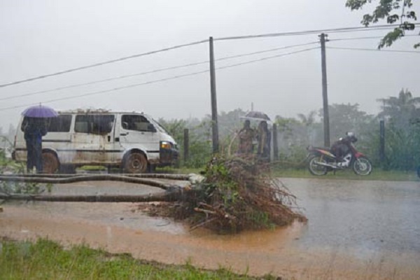 Hà Giang: Mưa lớn kéo dài gây ngập úng cục bộ tại một số địa phương - Hình 1