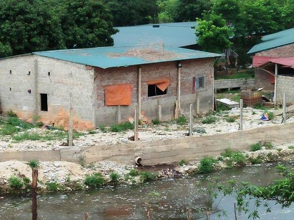 Vĩnh Phúc: Dân kêu trời vì trại nuôi lợn xả thải trực tiếp ra môi trường