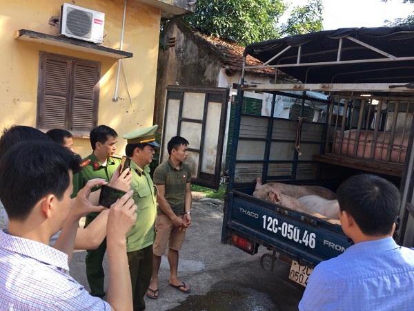 Lạng Sơn: Bắt giữ xe ô tô vận chuyển hơn 1,5 tấn thịt lợn nhập lậu - Hình 1