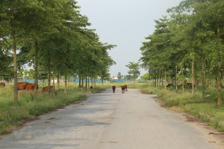 Hà Nội: Huyện Mê Linh rà soát, đôn đốc chủ đầu tư đẩy nhanh các dự án chậm tiến độ - Hình 3